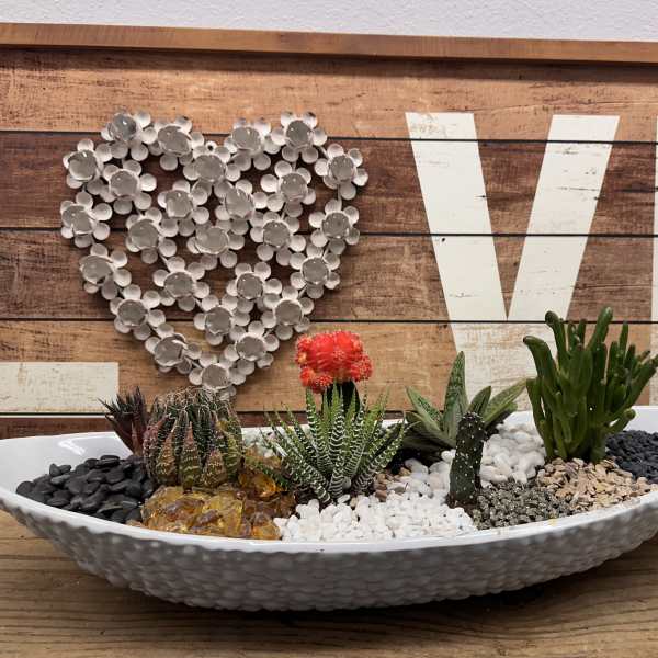 Succulent arrangement in a white oval bowl with decorative stones