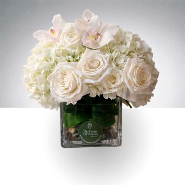 Ivory Elegance by The House of Flowers