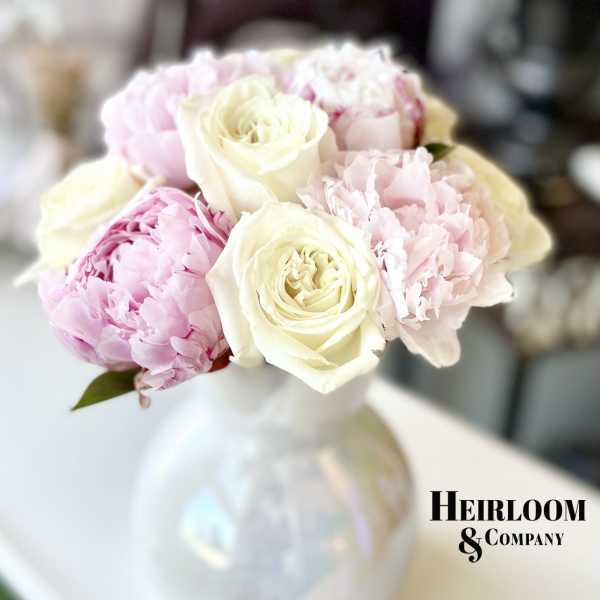 Bouquet of pale pink peonies and cream roses in a white vase