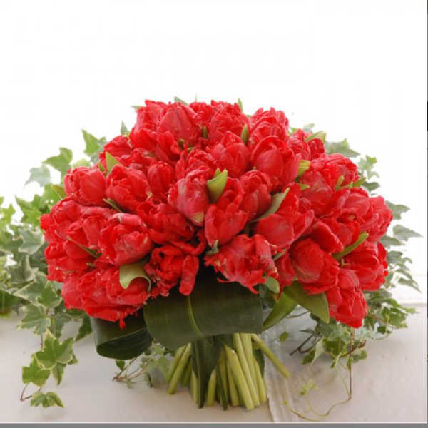 Bouquet of red tulips with ivy accents