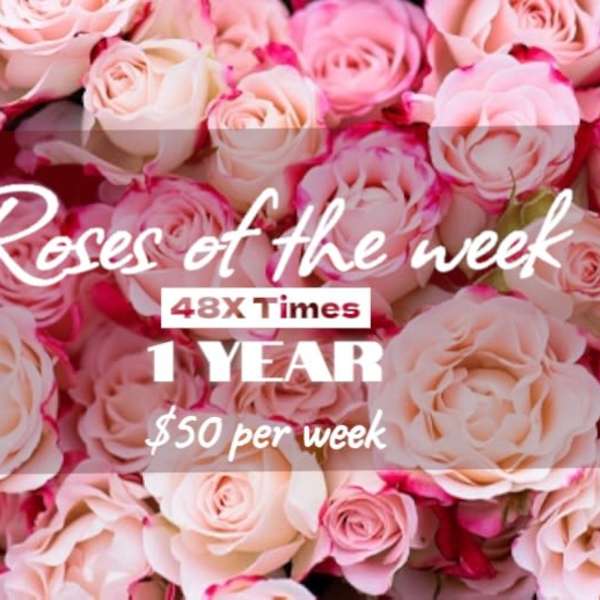 Close-up of pale pink roses with overlaid promotional text.