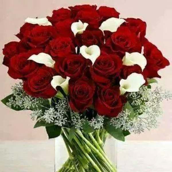 Red roses and white calla lilies in a clear glass vase