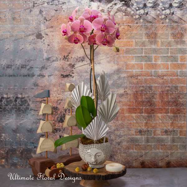 Pink orchid arrangement in a decorative ceramic pot with folded paper accents