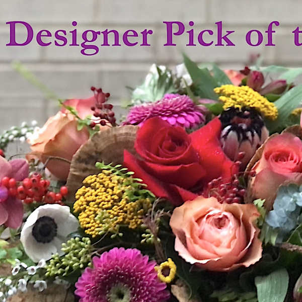 Designer Pick of the Day arrangement