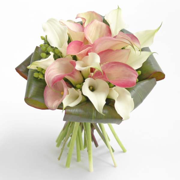 Bouquet of pink and white calla lilies wrapped in broad leaves