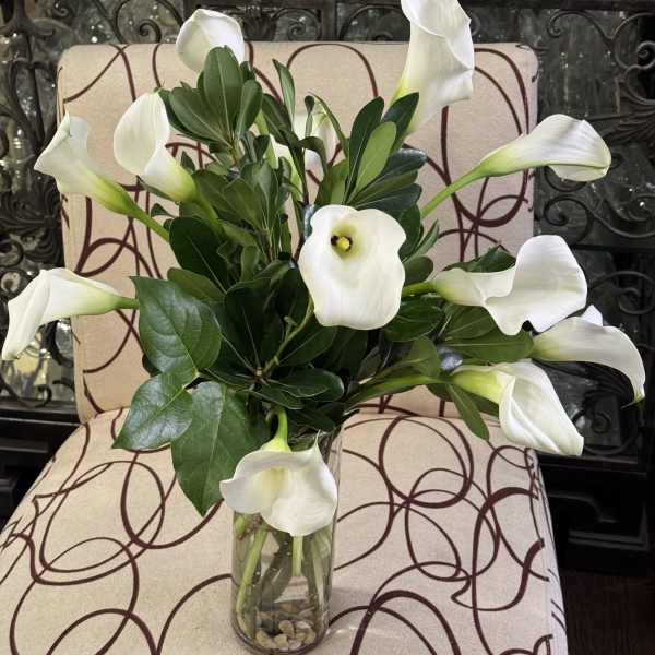 White calla lilies arranged in a clear glass vase with glossy green foliage.