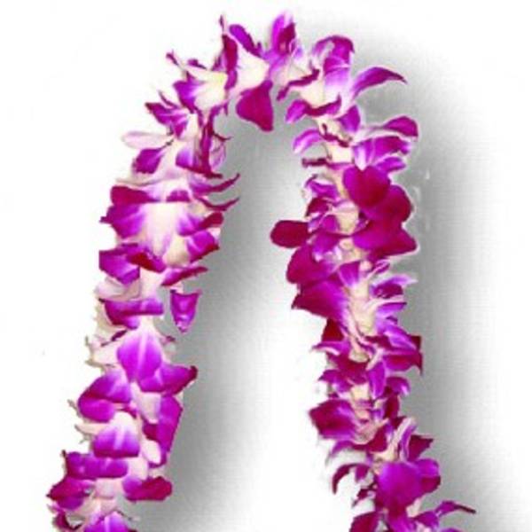 Orchid Lei