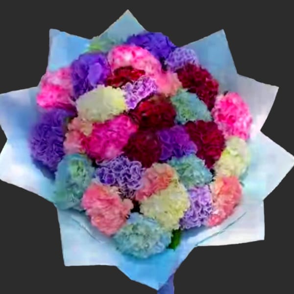 Bouquet of multicolored carnations wrapped in pale blue paper