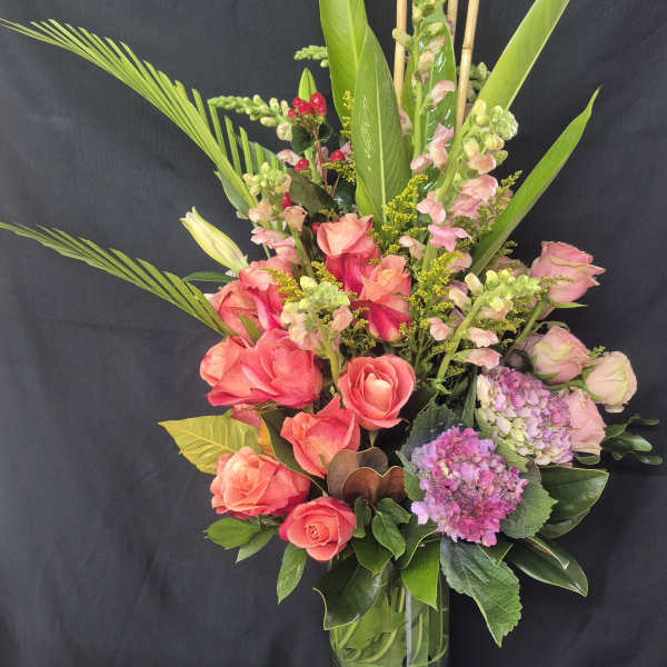 PINK CALYPSO SERENADE