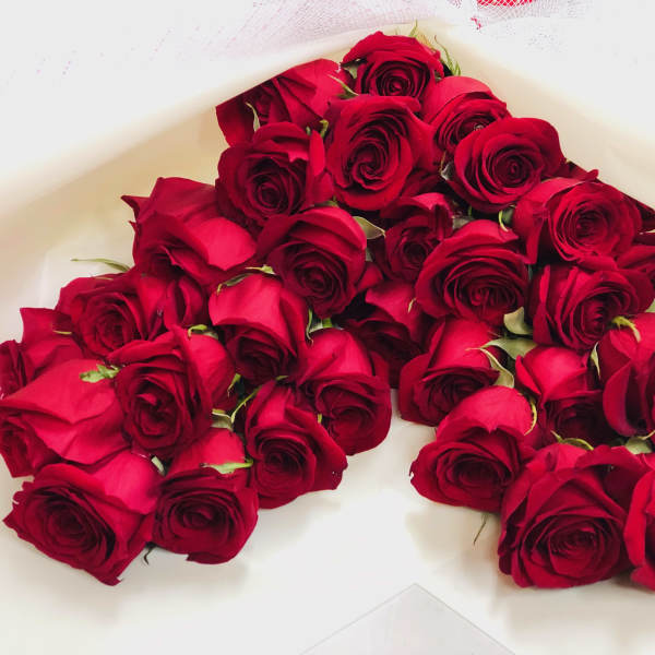 A bouquet of red roses wrapped in white paper