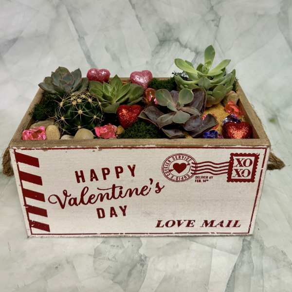 Succulents and a cactus in a Valentine-themed wooden box with heart decorations