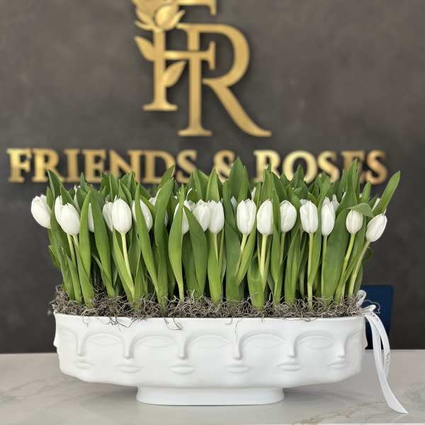White tulips arranged in a low white ceramic vase