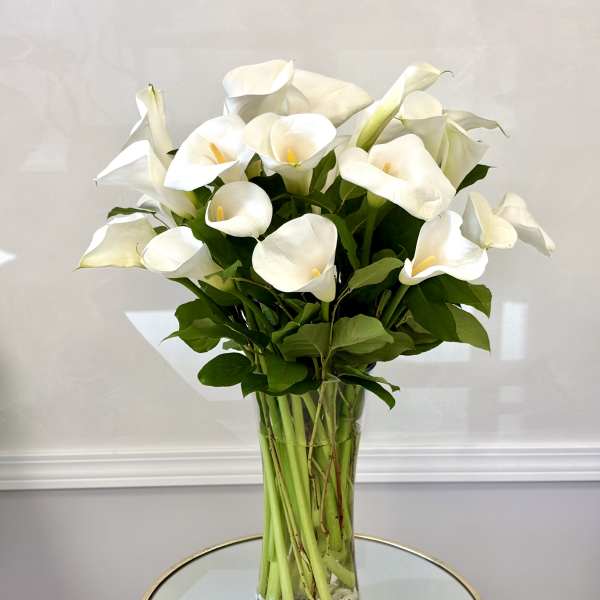 Calla Lily By VLM Flowers