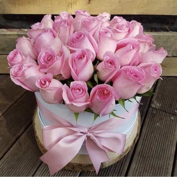Pink roses arranged in a round box with a satin ribbon