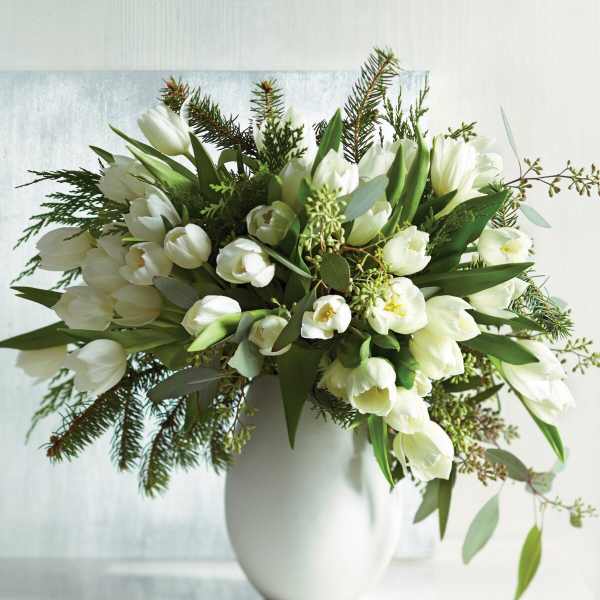 White tulips arranged in a white vase with evergreen foliage