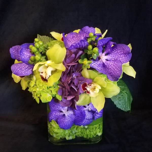Purple and yellow orchid arrangement in a square glass vase