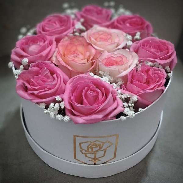 Pink roses arranged in a round white box with baby's breath