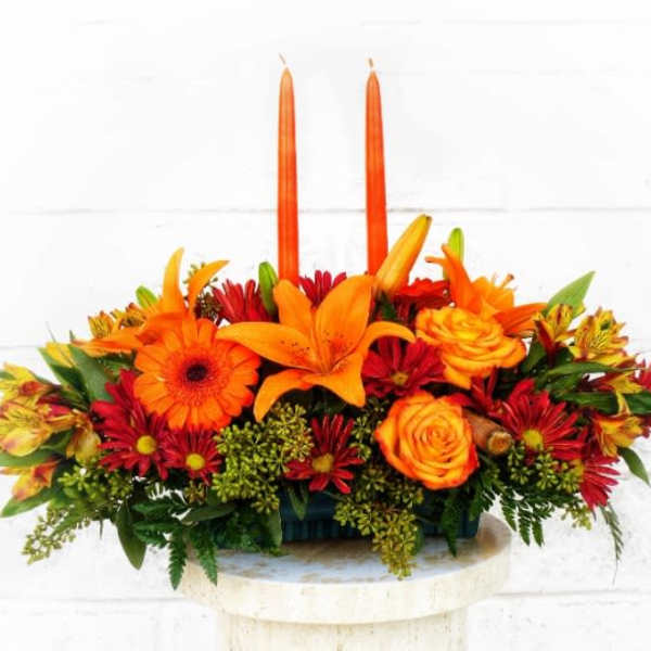 Autumn Delight by D Bryant Designer