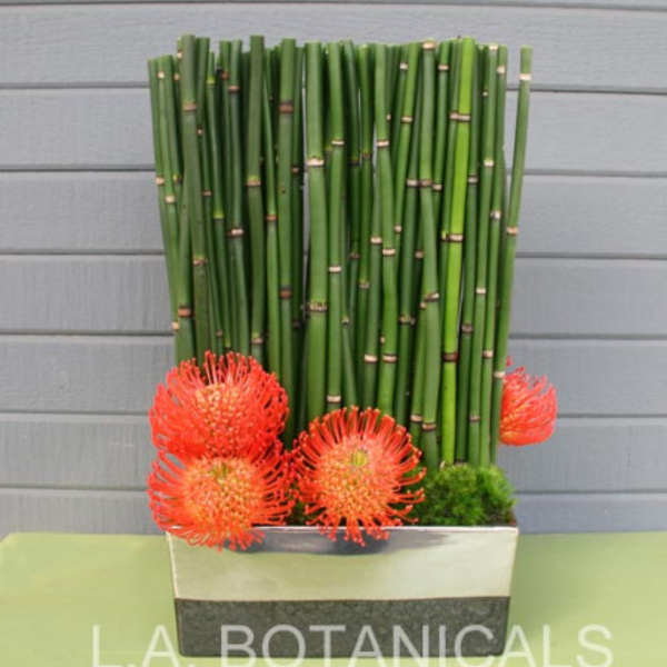 Orange pincushion flowers arranged with tall bamboo in a rectangular container.