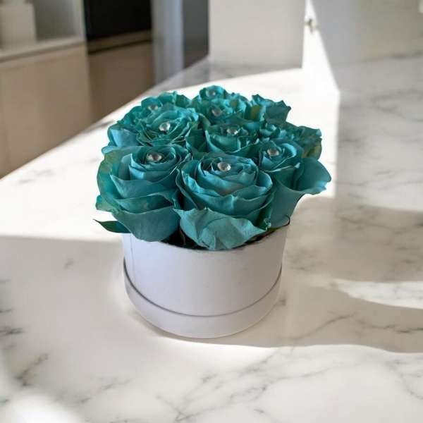 Aqua Charm