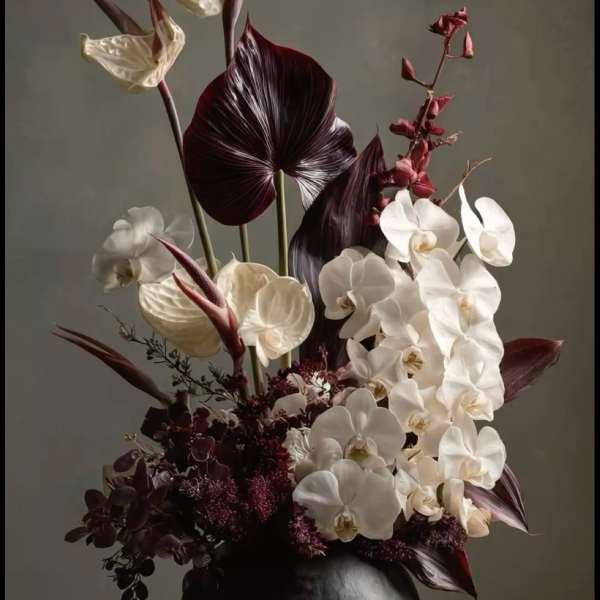 Tall floral arrangement with white orchids and dark burgundy anthuriums in a black vase