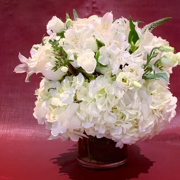 White floral arrangement in a glass vase on a burgundy background