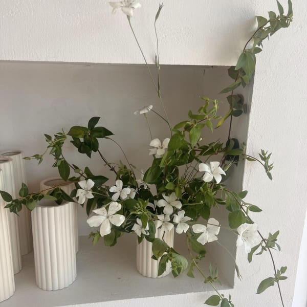 White flowers arranged with trailing green branches in ribbed cream vases