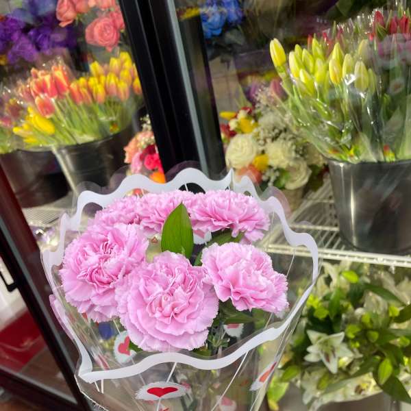 Handheld bouquet of light pink carnations wrapped in a clear sleeve with red hearts.