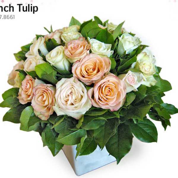 Mix Roses