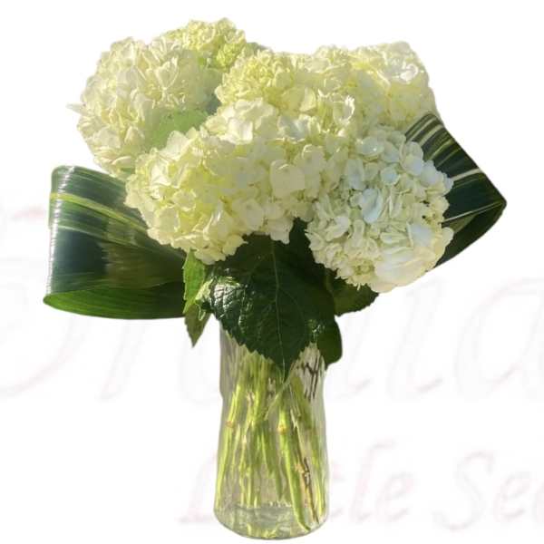 White hydrangea bouquet in a clear glass vase