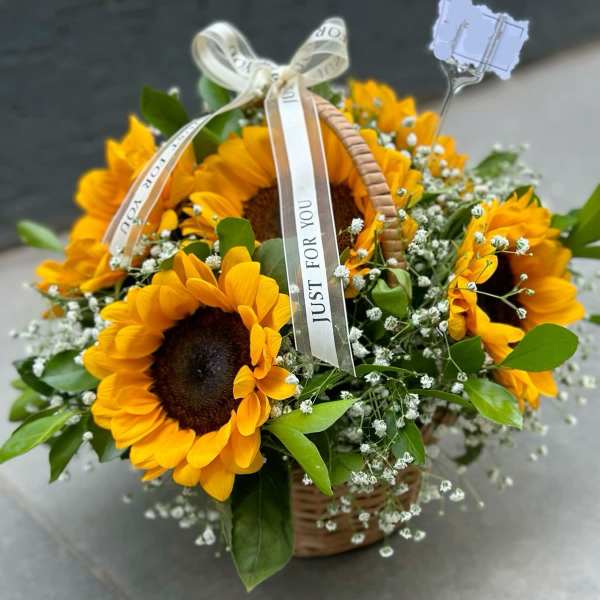 Basket of yellow sunflowers with baby's breath and a ribbon