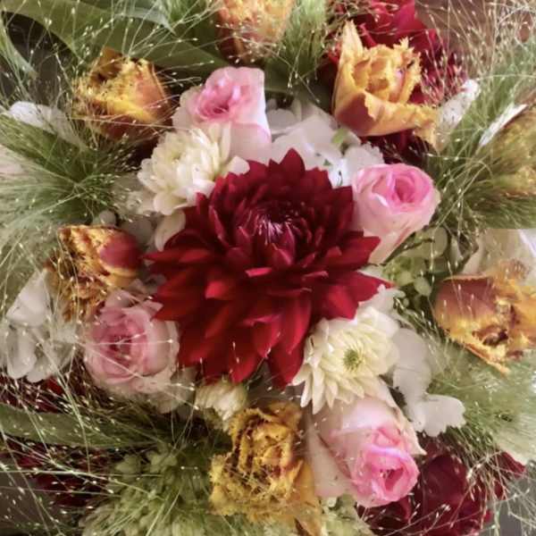 Bouquet of red, pink, and white flowers with wispy grass-like accents