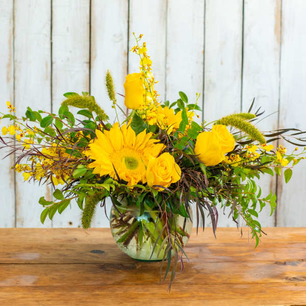 Sunny Meadow Delight