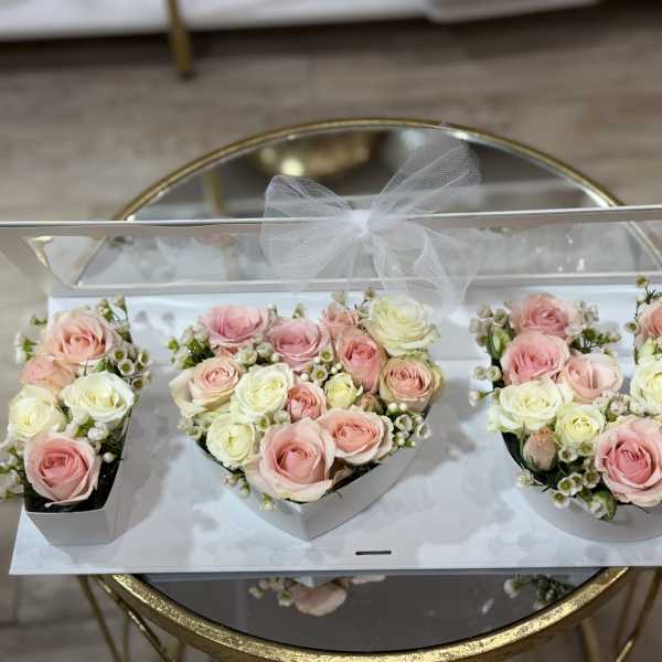 Three pastel rose arrangements in white boxes with a sheer bow