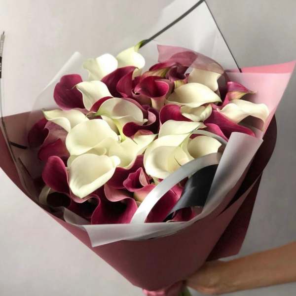 Purple and White Calla Lilies