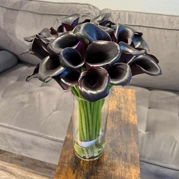 Black Calla Lilies in a vase