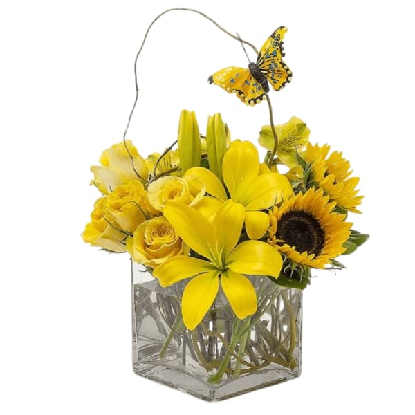 Yellow floral arrangement in a clear square vase with a butterfly accent