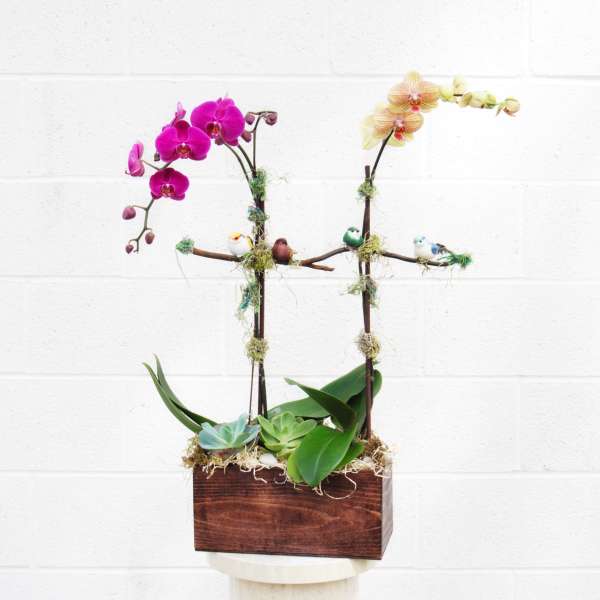 Orchid arrangement with succulents in a wooden box planter