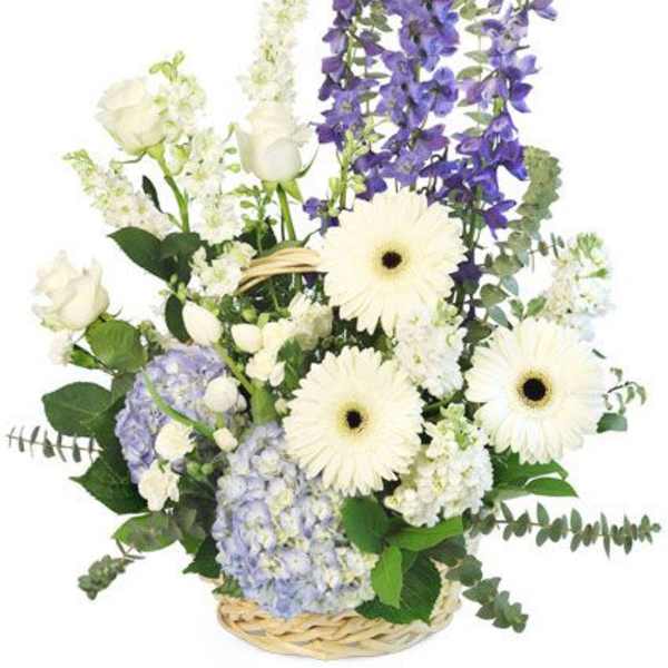 Basket arrangement with white roses, gerbera daisies, and purple flowers