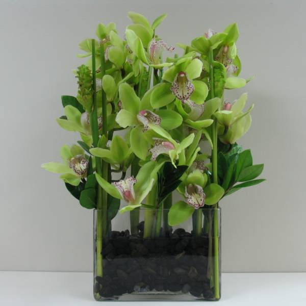 Green orchid stems arranged in a clear square vase with black stones