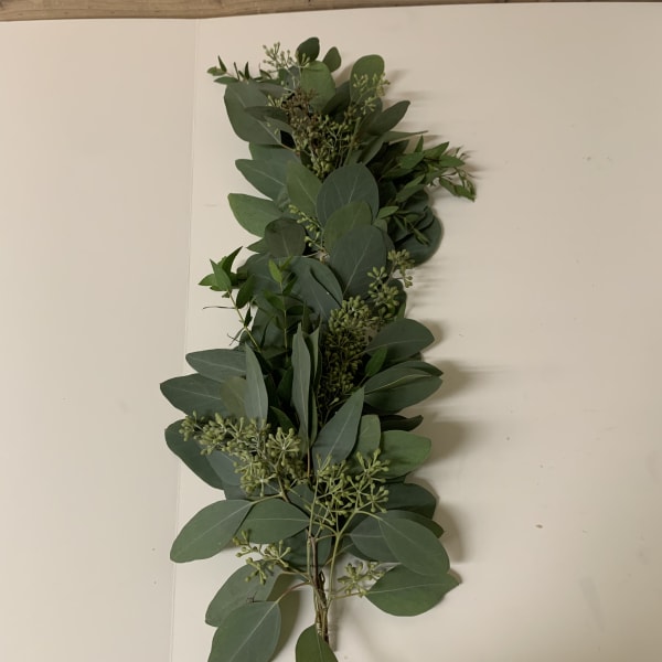 Bundle of green eucalyptus foliage on a white surface