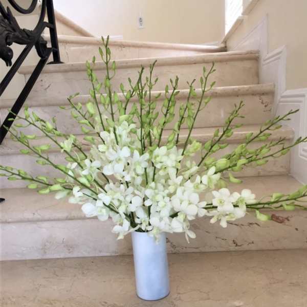 Tall arrangement of white orchids with green buds in a slim white cylinder vase on stone steps