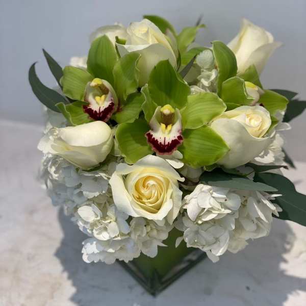 White roses and green orchids arranged with white hydrangeas