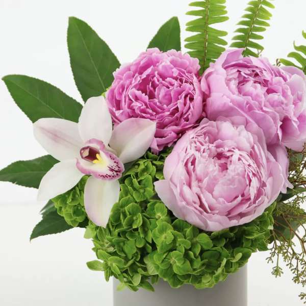 Pink peonies with a white orchid in a vase