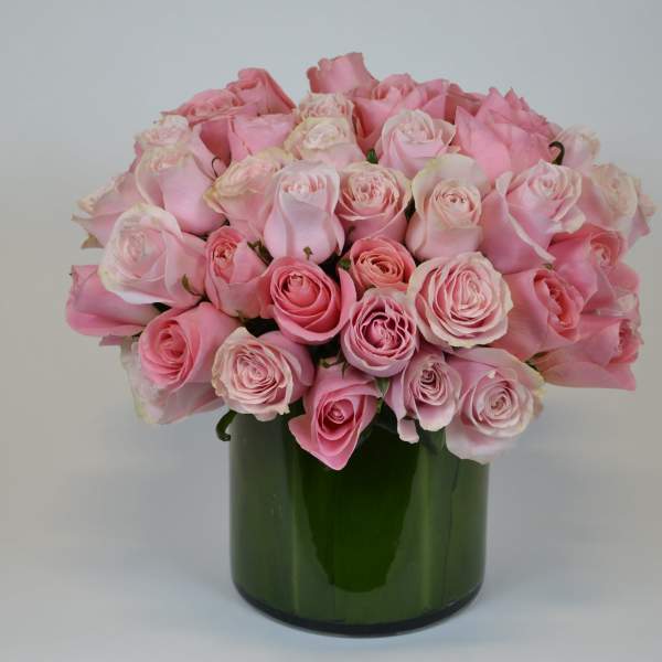 Lovely Pink