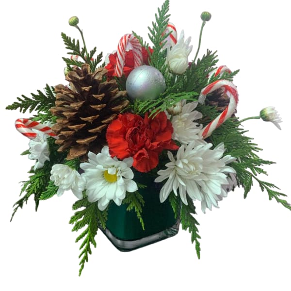 Holiday arrangement with white daisies, red carnations, pinecones, and candy canes in a vase