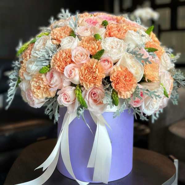 Fall Colors