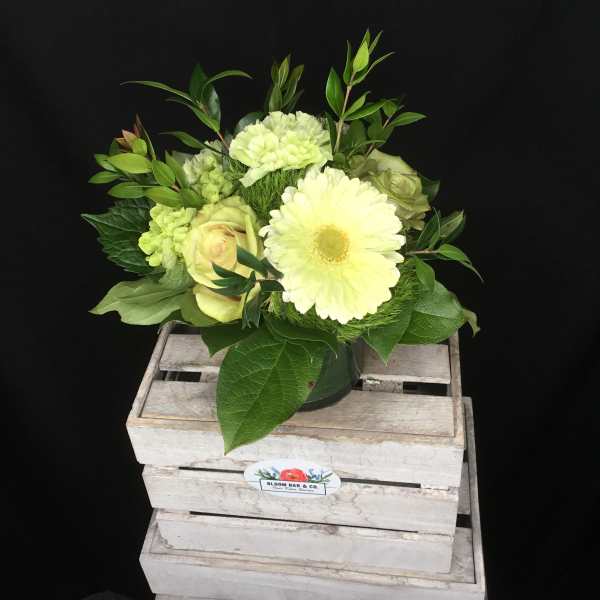 Pale yellow flower arrangement in a dark vase with greenery