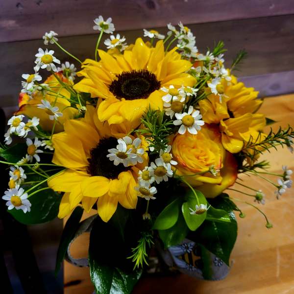 Dip into a little Sunshine