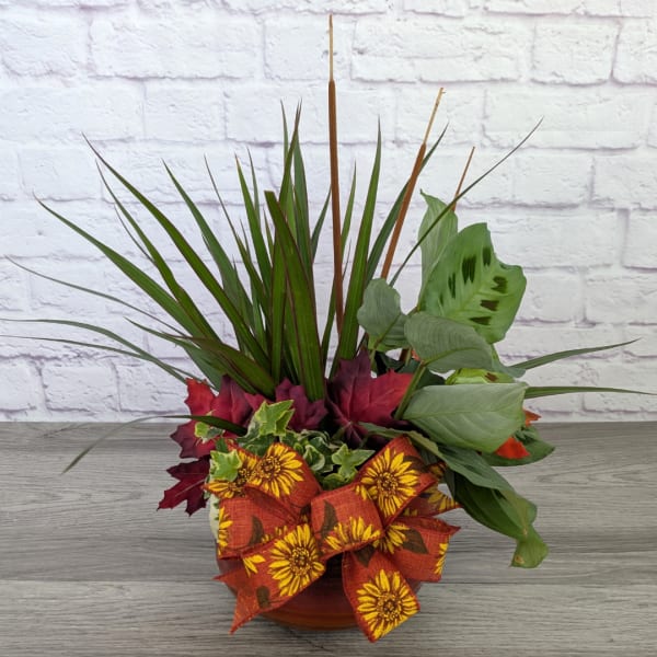 Autumn planter with mixed foliage and a sunflower ribbon bow in a low pot